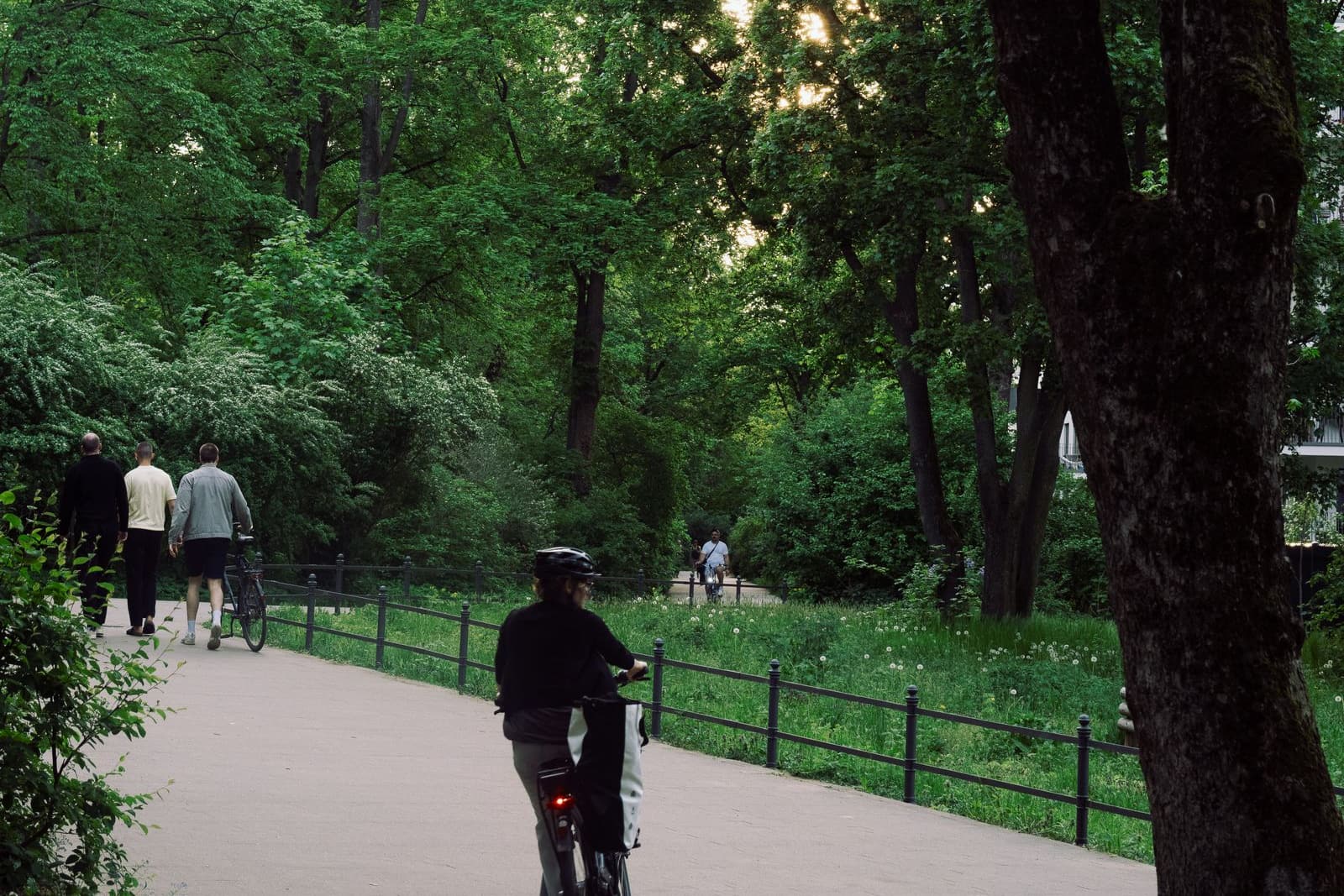 Cyclist riding a marked shared cycle path through a city park in Germany