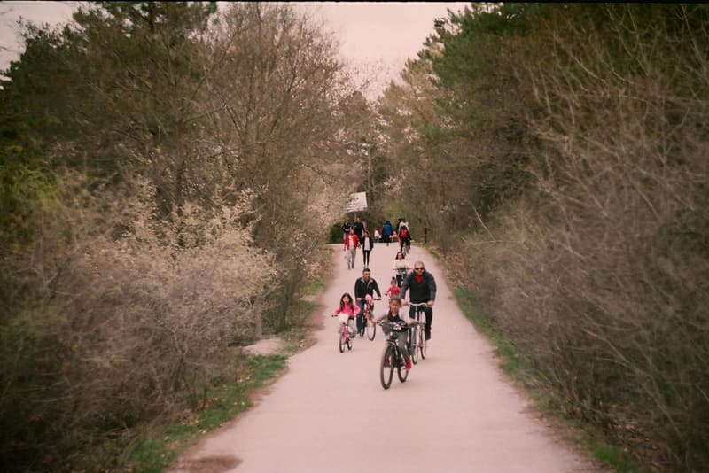Family riding bicycles together along a tree-lined path