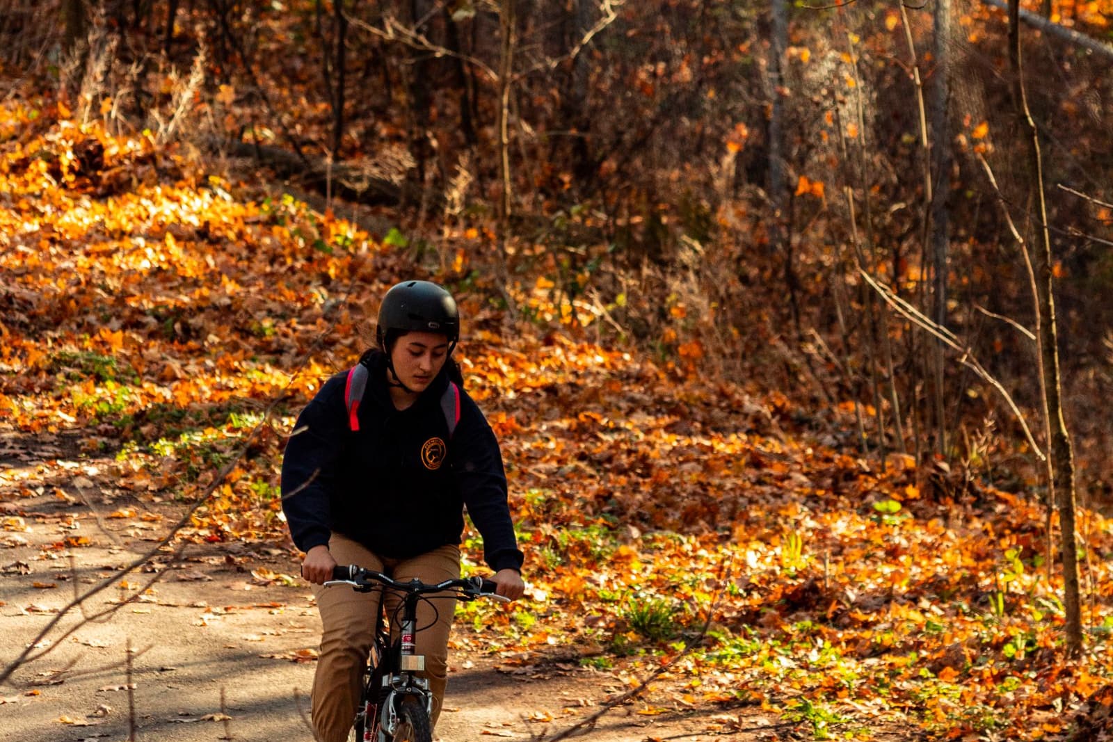 Mountain biker riding a leaf-covered forest trail in autumn near Berlin