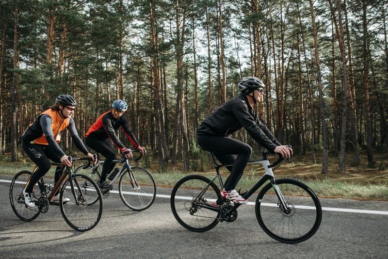 Three road cyclists riding a road through a pine forest