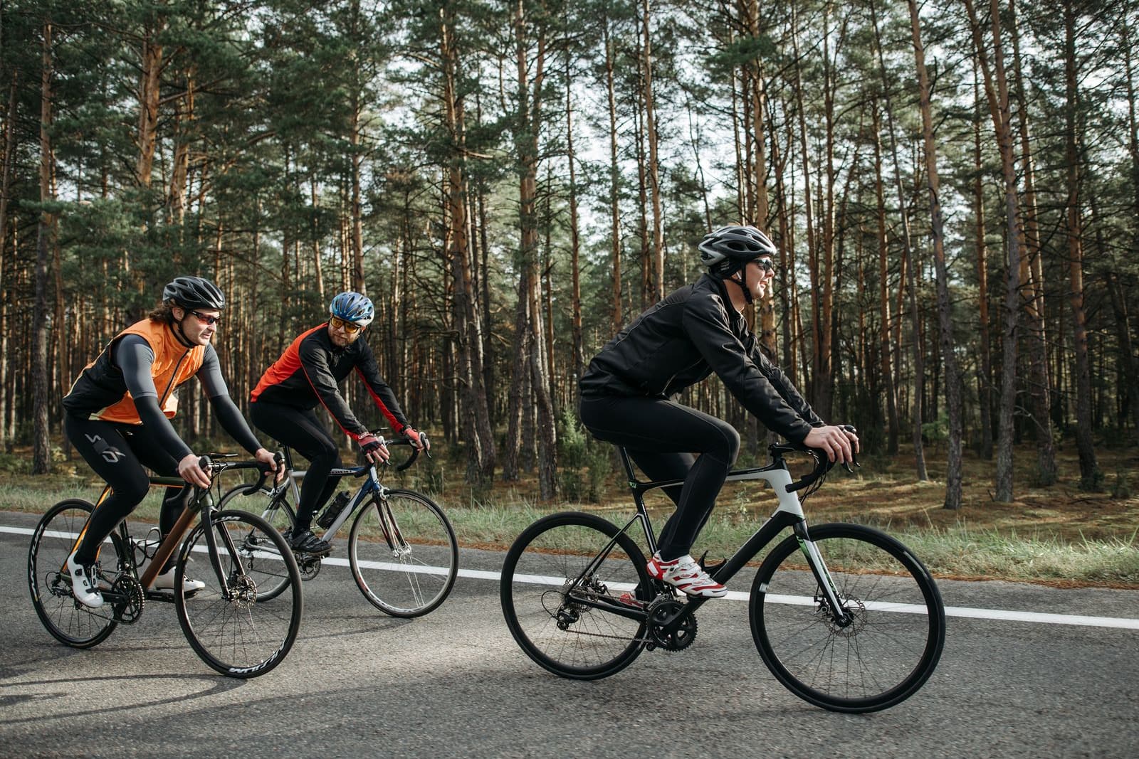 Three road cyclists riding a road through a pine forest