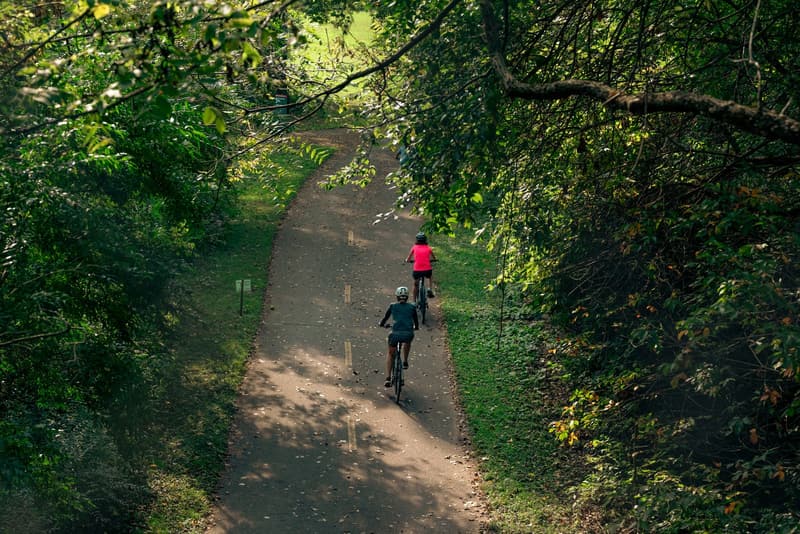 Two cyclists riding away along a narrow woodland path